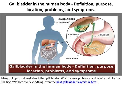 gallbladder traduzione|gall bladder meaning.